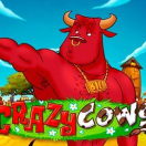 Crazy Cows